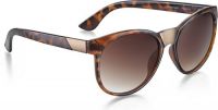 Fastrack Gradient Rectangular Men's Sunglasses - (Brown Color)
