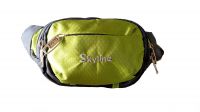 Skyline Unisex Polyester Multi-Purpose Waist Pouch (Green)