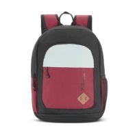 The Vertical Imprint Polyester 26 Ltrs Black, Red and Grey School Backpack (8903496093629)