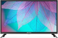 [Pre Pay] Sansui Pro View 80cm (32 inch) HD Ready LED TV 2019 Edition  with WCG  (32VNSHDS)
