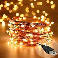 DesiDiya® Copper Fairy String Lights with USB Cable For Home Decoration 5 Meters