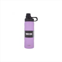 Dubblin Roman Stainless Steel Double Wall Vacuum Insulated BPA Free Water Bottle (Violet 600 ML)