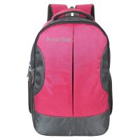 Dussle Dorf Leonardo 22 Liters Magenta and Grey Laptop Backpack (Magenta1518)