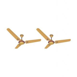 Blue Sapphire Fusion 48 Ceiling Fan Golden Pack of 2