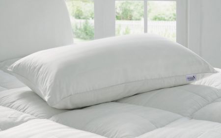 [LD] Story@Home Luxurious Premium Microfibre Pillow - 17