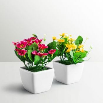 Stylo Flowers In Square Shape Pot 2 Pcs