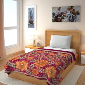 IWS Printed Single Blanket Multicolor(1 Single Bed Fleece Blanket)
